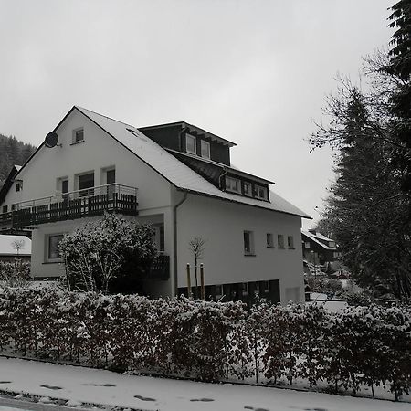 Ferienwohnung Haus Kloosterman Винтерберг Екстериор снимка