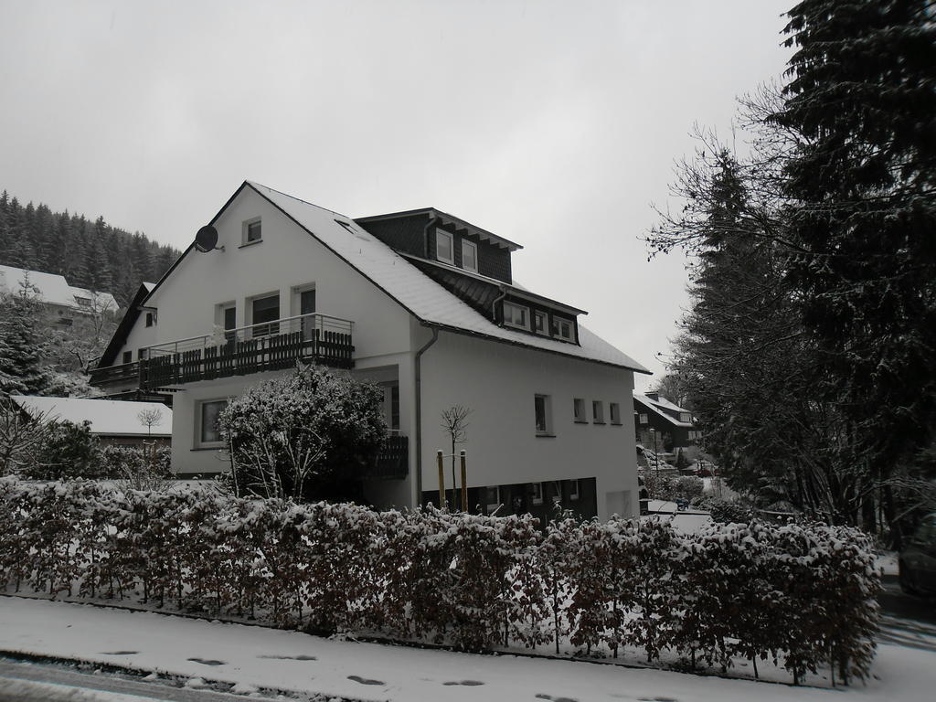 Ferienwohnung Haus Kloosterman Винтерберг Екстериор снимка