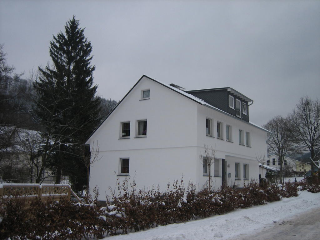 Ferienwohnung Haus Kloosterman Винтерберг Екстериор снимка